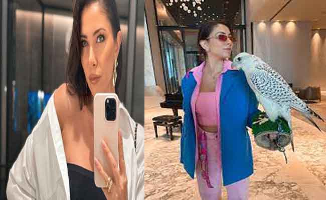 دانييلا رحمة تحمل الصقر فماذا تريده أن يقول لها؟