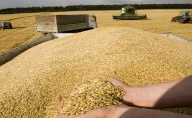 حبس مدير تعاونية للحبوب وموظفين تورطوا في قضية سرقة الشعير المدعم بالمسيلة