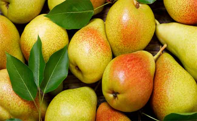 فوائد الإجاص لصحة الحامل وكيف يمكن تناولها بأمان؟