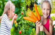أفضل الخضروات الشتوية للأطفال