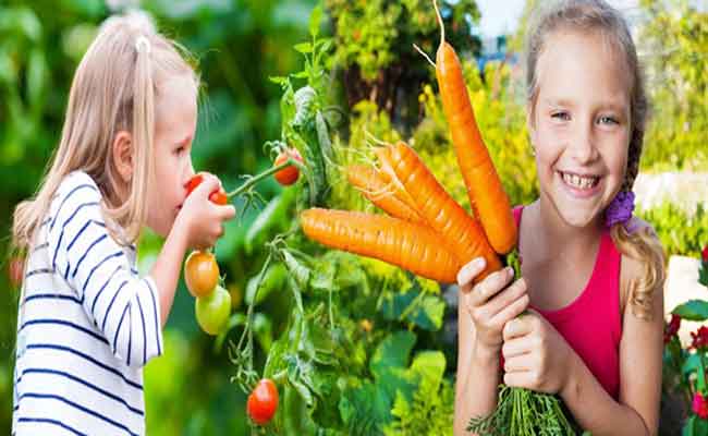أفضل الخضروات الشتوية للأطفال