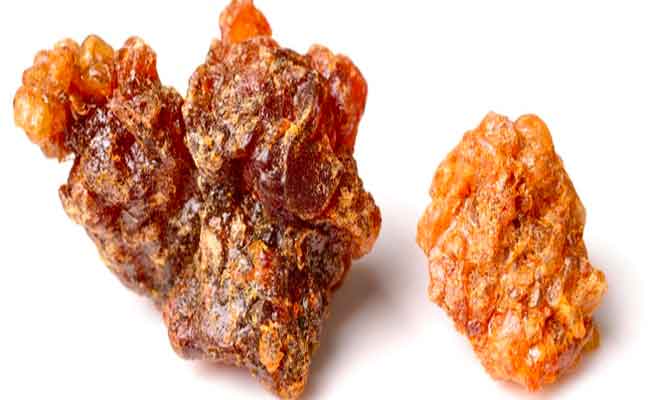 هل لاستنشاق المرة فوائد؟…طبيبة تشرح الإيجابيات والمخاطر