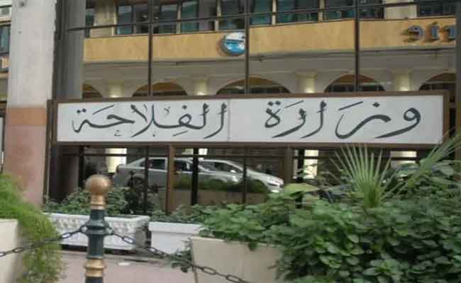 إطلاق وزارة الفلاحة لعملية إحصاء نموذجية جديدة لسنة 2024