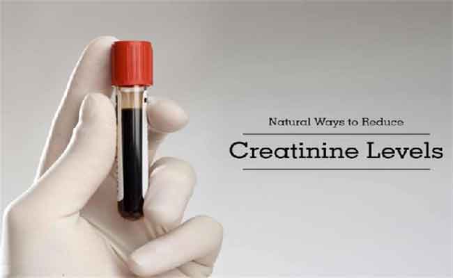 ماذا يأكل مريض الكرياتينين لخفض نسبته في الدم؟…