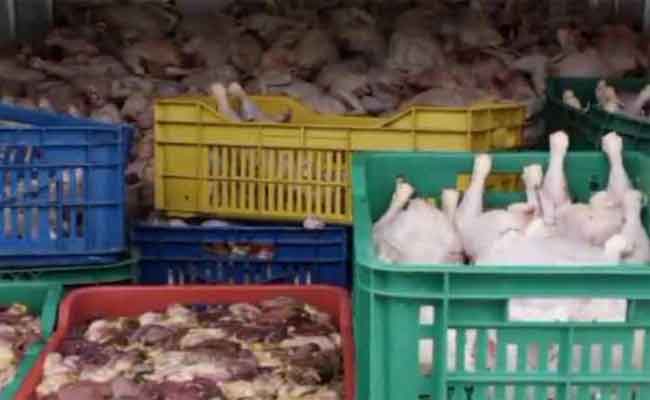 حجز 10 قناطير من المنتوجات الحيوانية الفاسدة بغليزان