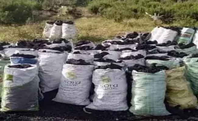 حجز 9 أطنان من الفحم على متن شاحنة بتيارات