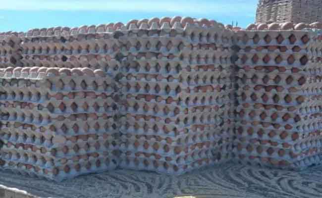 إتلاف 700 ألف بيضة مصابة بالسالمونيلوز بالبويرة