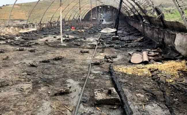 نشوب حريق بمستودعات لتربية الدواجن بالبويرة