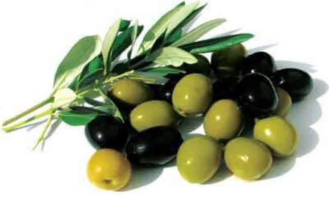 أيهما أفضل زيت الزيتون الأخضر أم الأسود؟…طبيبة تغذية تجيب