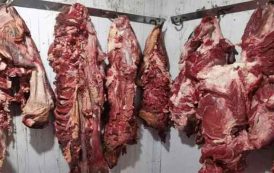 حجز قنطارين ونصف من لحم البقر فاسدة بتيارات