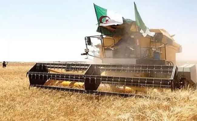 انطلاق الإحصاء العام للفلاحة يوم 19 ماي المقبل