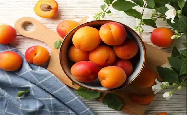 فوائد بذور المشمش غنية بمضادات الأكسدة…طبيبة تتحدث