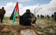 في ذكرى يوم الأرض: الجزائر تؤكد تضامنها مع الشعب الفلسطيني