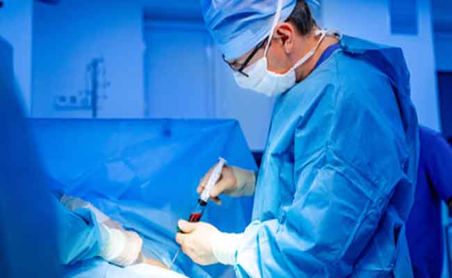 فوائد الخلايا الجذعية وفق طبيبة متخصصة…بديل لزراعة الأعضاء