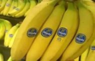 زيتوني يتوعد المضاربين في أسعار الموز
