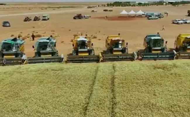 انطلاق عملية الإحصاء الفلاحي