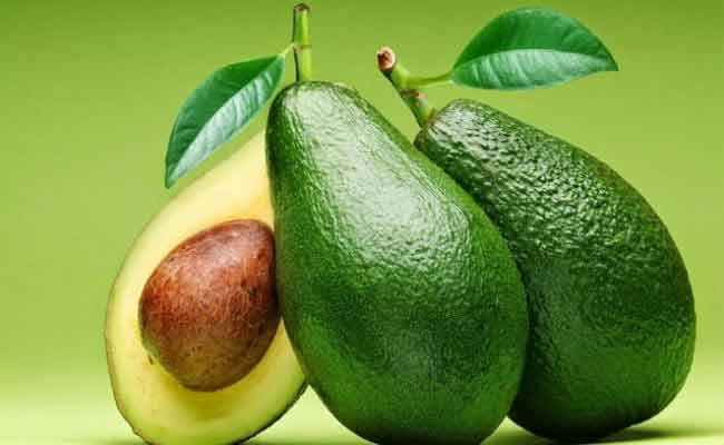 فوائد الأفوكادو للأعصاب وزيادة التركيز وتحسين الذاكرة وفق طبيبة…