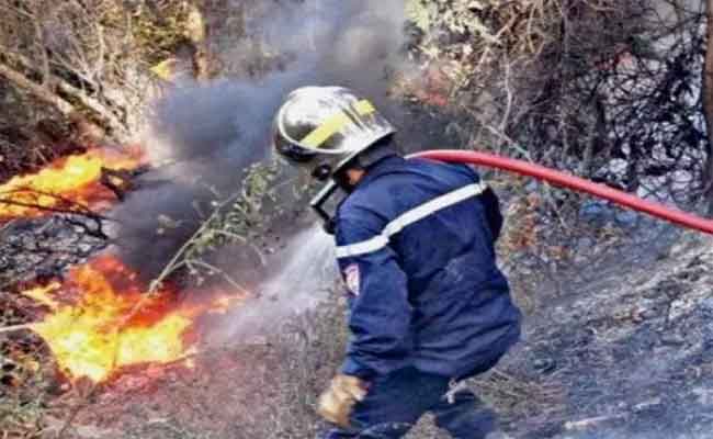 حرائق الغابات تتلف أزيد من 10 هكتارات من المحاصيل الزراعية بسوق أهراس