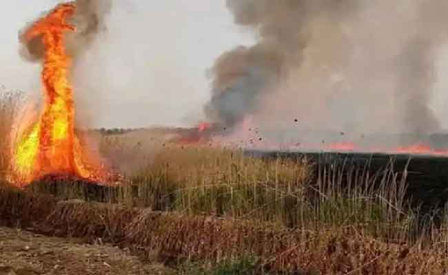 احتراق 8 هكتار من الحشائش وإنقاذ 10 هكتار من النخيل المثمر بالمغير