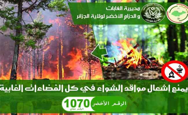 مديرية الغابات بالعاصمة تمنع إقامة مواقد الشواء والتخييم داخل الغابات ومحيطها