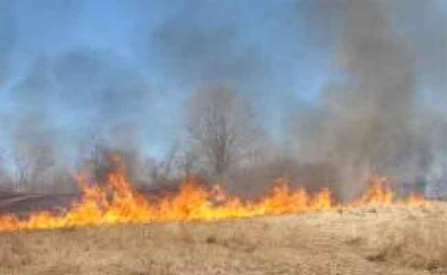 النيران تلتهم محصول زراعي من القمح الصلب بقسنطينة
