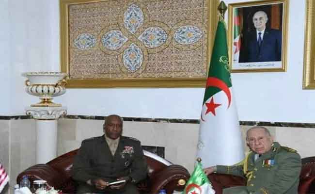 شنقريحة يستقبل قائد القيادة الامريكية لإفريقيا