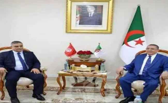 استقبال مراد نظيره التونسي