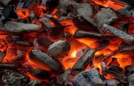 الإطاحة بشخص يحترف حرق أغصان أشجار الغابة لتحويلها للفحم بالشراقة