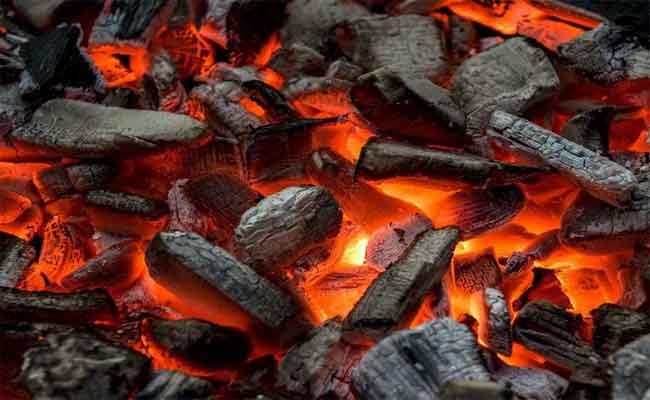 الإطاحة بشخص يحترف حرق أغصان أشجار الغابة لتحويلها للفحم بالشراقة