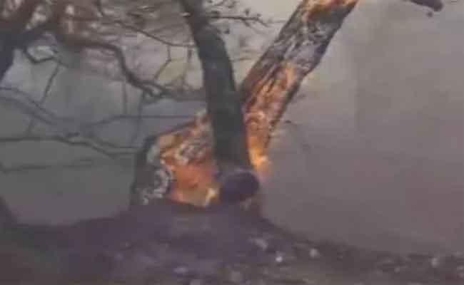 إتلاف مساحات فلاحية بقُرًى اوزلاقن ببجاية