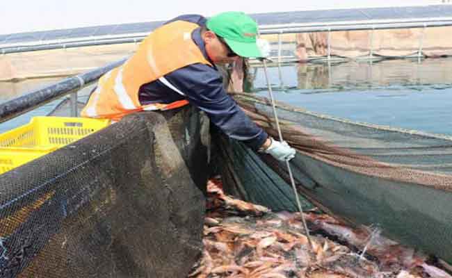 بداني يكشف عن وضع أجهزة تقنية ملائمة لتسيير حصيلة الصيد ومراقبة الإنتاج