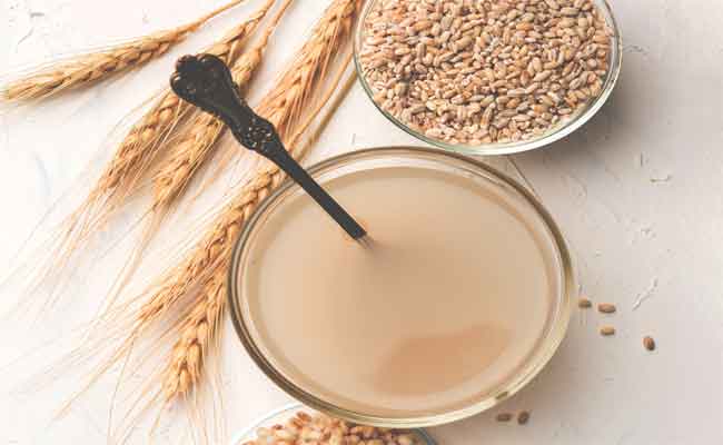 فوائد الشعير لحصوات الكلى مهمة جداً وفق طبيبة…