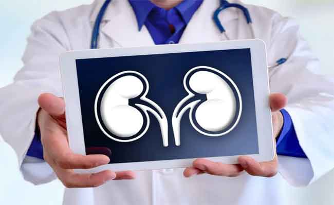 الفشل الكلوي كيف يتم كشفه ومتى يبدأ المريض بغسيل الكلى؟ طبيبة تجيب