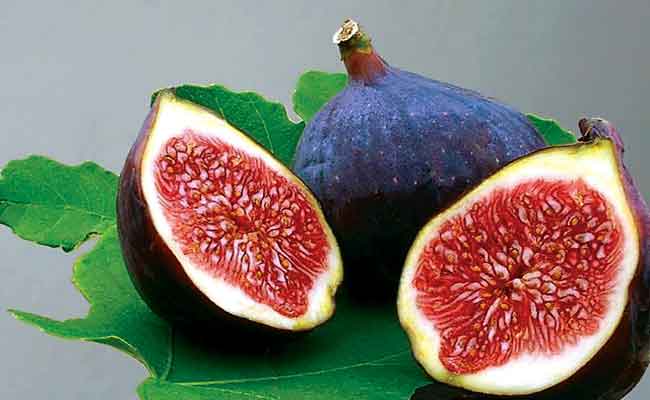 تجربتي مع فوائد تناول فاكهة التين الطازجة للجسم تستحق القراءة