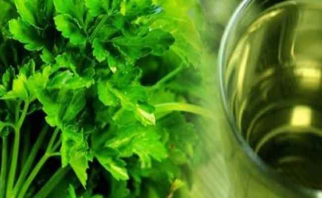 فوائد مغلي البقدونس لا تُصدّق! بين الجانب الصحيّ وخسارة الوزن…