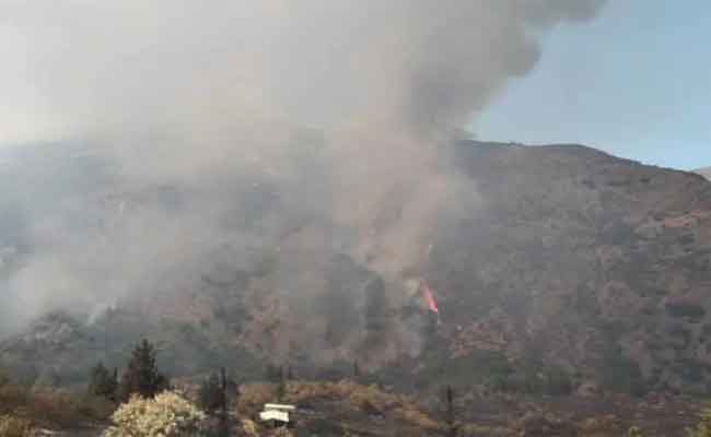 نشوب حريق بغابة في عين شويخة بقالمة