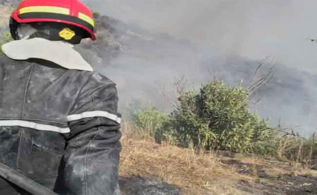 نشوب حرائق غابوية ببجاية وتيزي وزو والمدية
