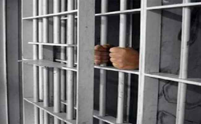 حبس المتورطين في فضيحة”ذرة تغذية الأنعام” بالمسيلة