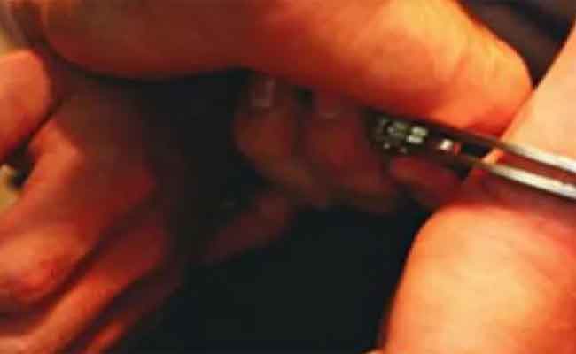 مجرم يسطو على أثاث منزل جارته مستغلا ظروف ترحيلها ببرج الكيفان