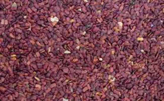 فوائد حلبة الخيل للصحة لا تُقدر بثمن خصوصاً للقلب…