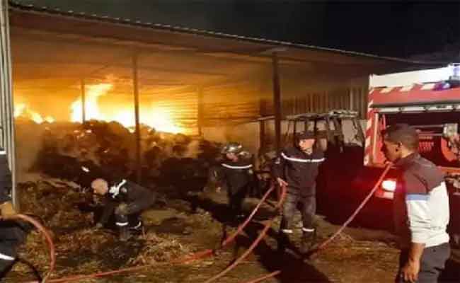 نشوب حريق في مستودع للأبقار والتبن بالبويرة