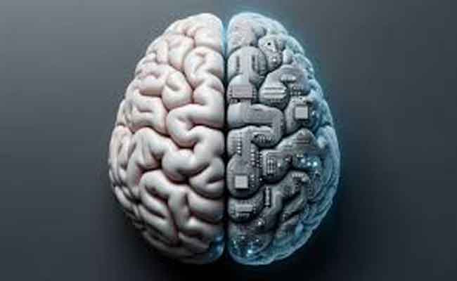 الذكاء الاصطناعي يكشف سر الحفاظ على شباب الدماغ…