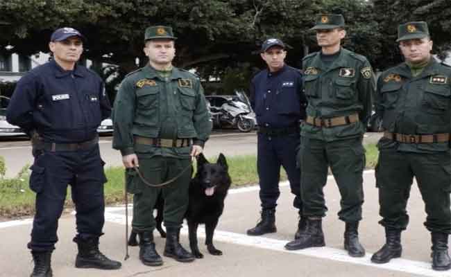 مداهمة مشتركة للدرك والأمن تسفر عن توقيف 216 شخصا بوهران 