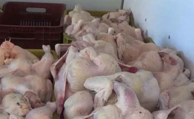 مصادرة أزيد من 9 قناطير من اللحوم البيضاء الفاسدة بأقبو في بجاية