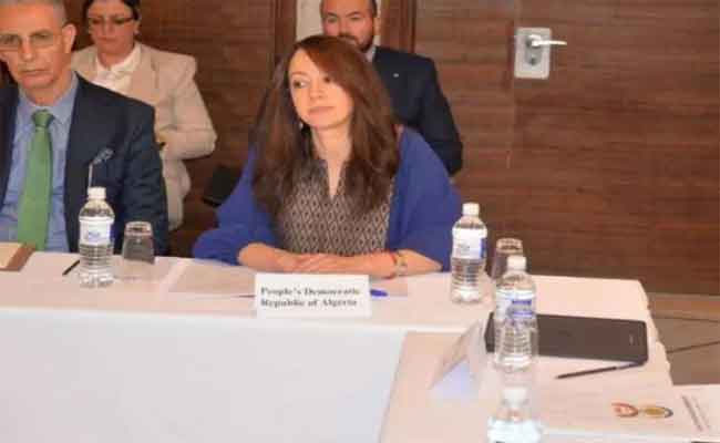 منصوري تُؤكد على أهمية التنفيذ الفعّال والشامل لاتفاق السلام المُنشَّط بجنوب السودان