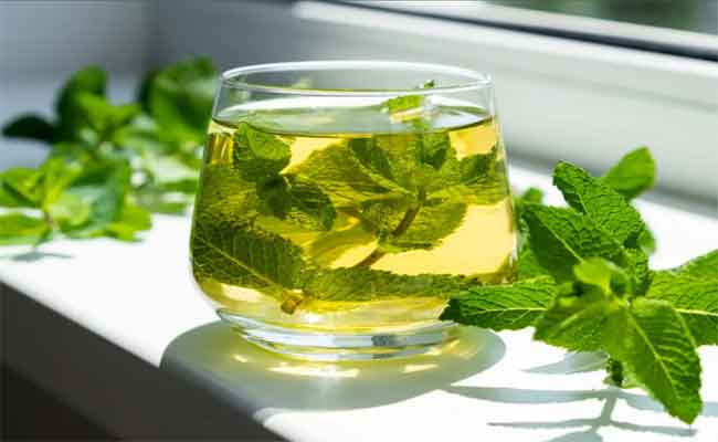 أضرار النعناع للنساء احذريها بحسب طبيبة تغذية…