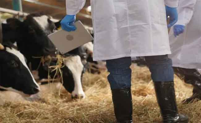 مطالبة النقابة الوطنية للبياطرة بفتح ملف القانون الأساسي والنظام التعويضي