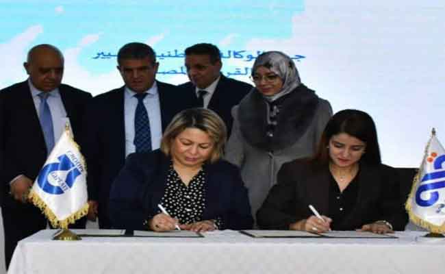 الوكالة الوطنية لتسيير القرض المصغر توقع اتفاقية تعاون مع مجمع الحليب “جيبلي”