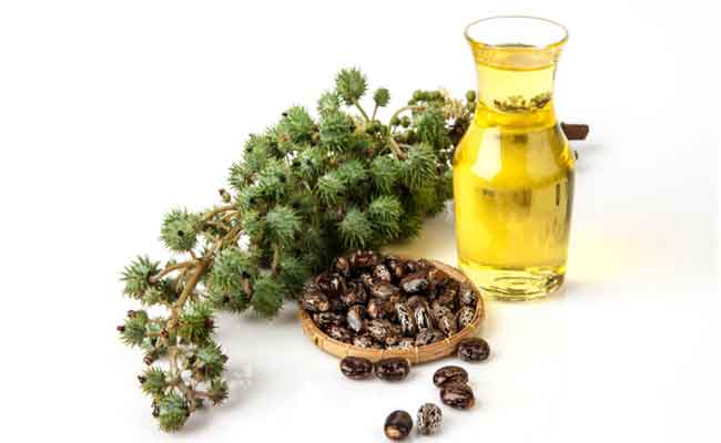 فوائد زيت الخروع للبطن ولعلاج التهاب المفاصل مهمة للغاية