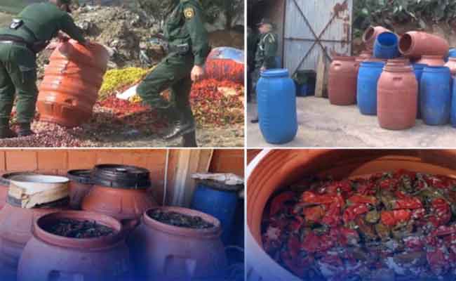 اتلاف 223 برميلا لمخلّلات وزيتون غير صالحة للاستهلاك بالشلف